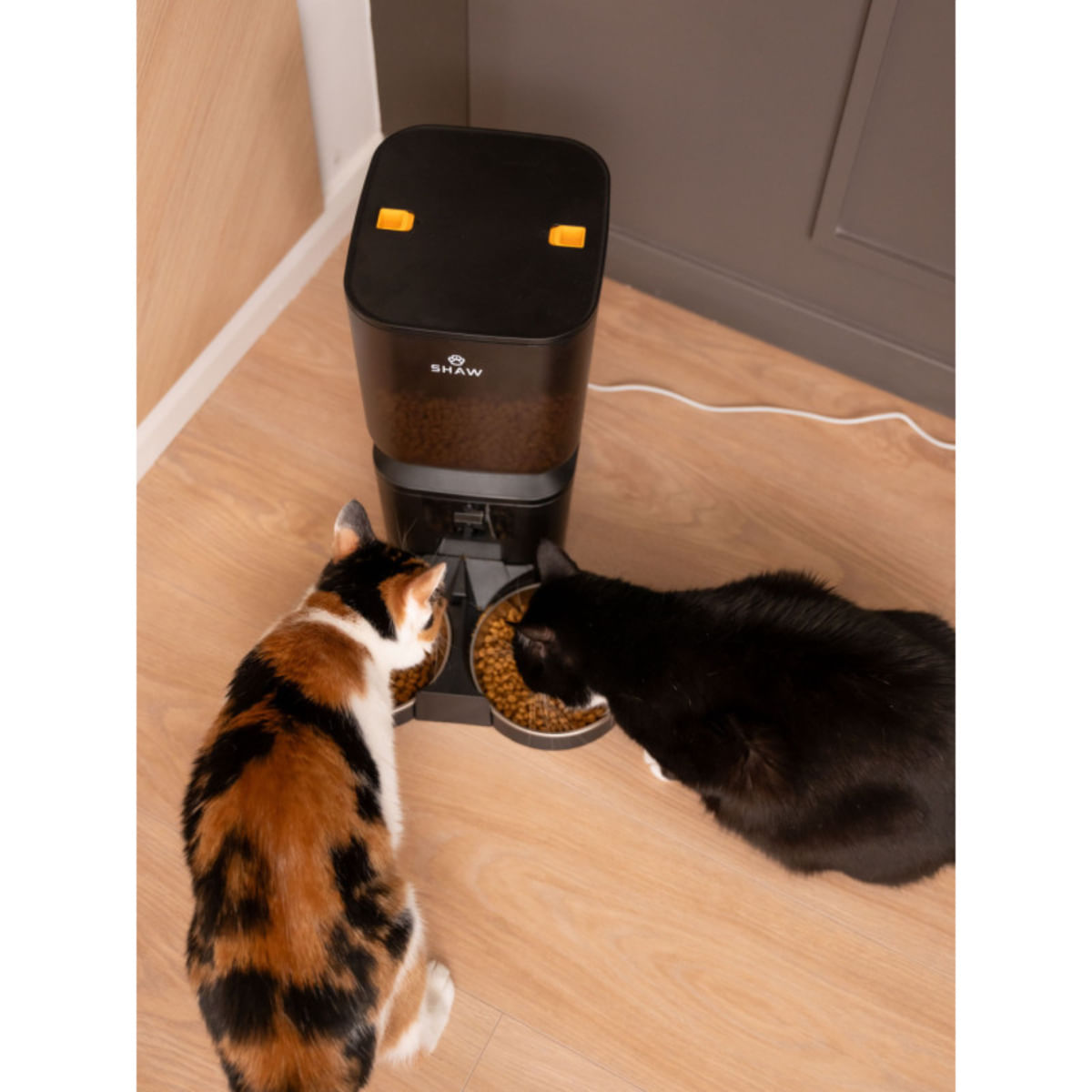 SHAW Smart, hrănitor automat câini, 2 boluri rotunde, programabil, aplicație mobilă, PVC SHAW Smart, hrănitor automat câini și pisici, 2 boluri rotunde, programabil, aplicație mobilă, PVC, negru, XS-S(7l) - poza 5