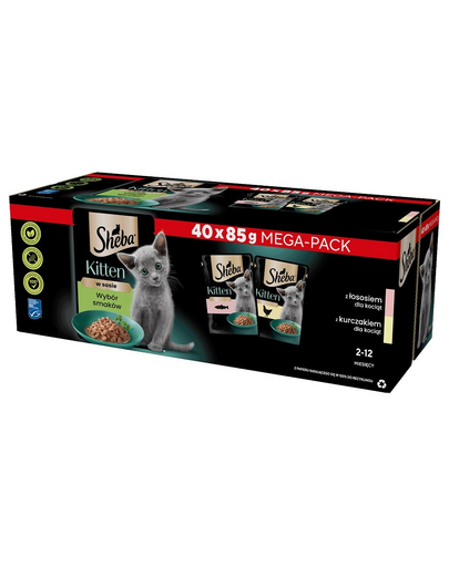 SHEBA Kitten Hrana umeda pentru pisoi 40x85 g cu somon si pui in sos
