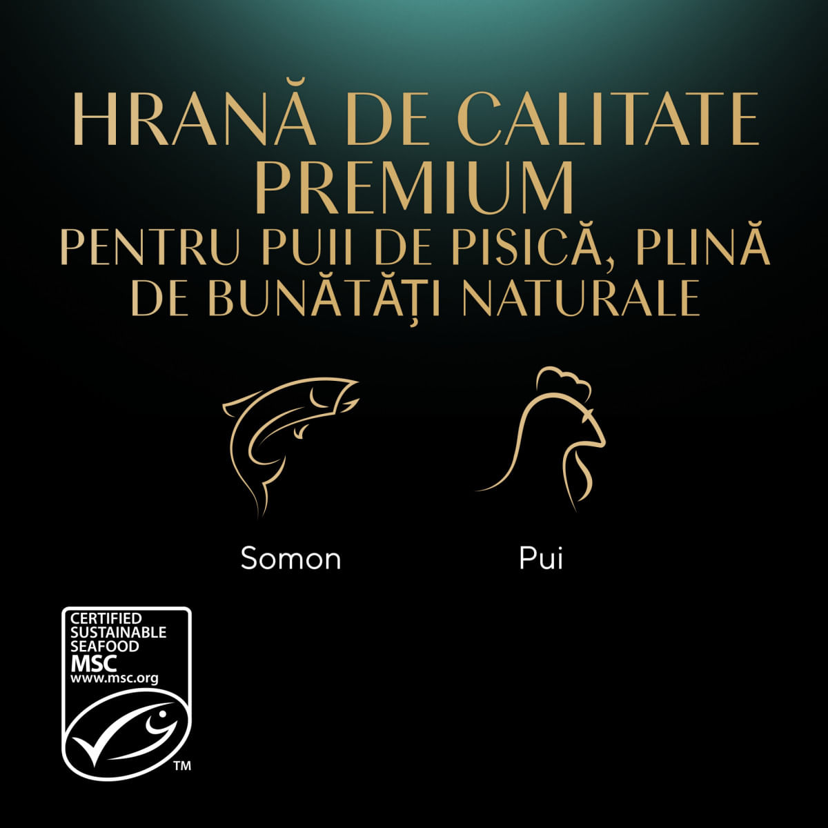 SHEBA Kitten Selectie Mixta, Somon și Pui, plic hrană umedă pisici junior, (în sos), multipack, 85g - poza 5