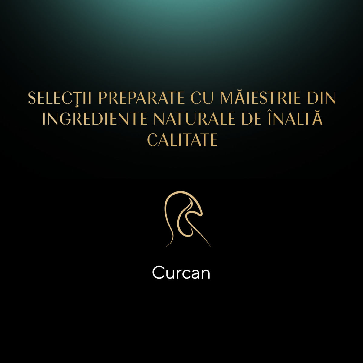 SHEBA Nature's Collection, Curcan și Legume, plic hrană umedă fără cereale pisici, (în aspic), 85g - poza 5