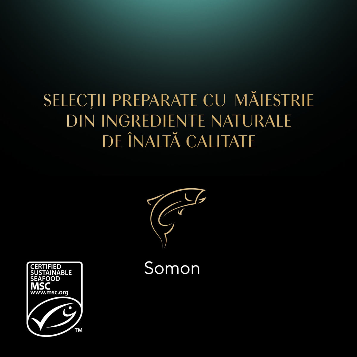 SHEBA Nature's Collection, Somon, plic hrană umedă fără cereale pisici, (în sos), bax, 85g x 28buc - poza 5