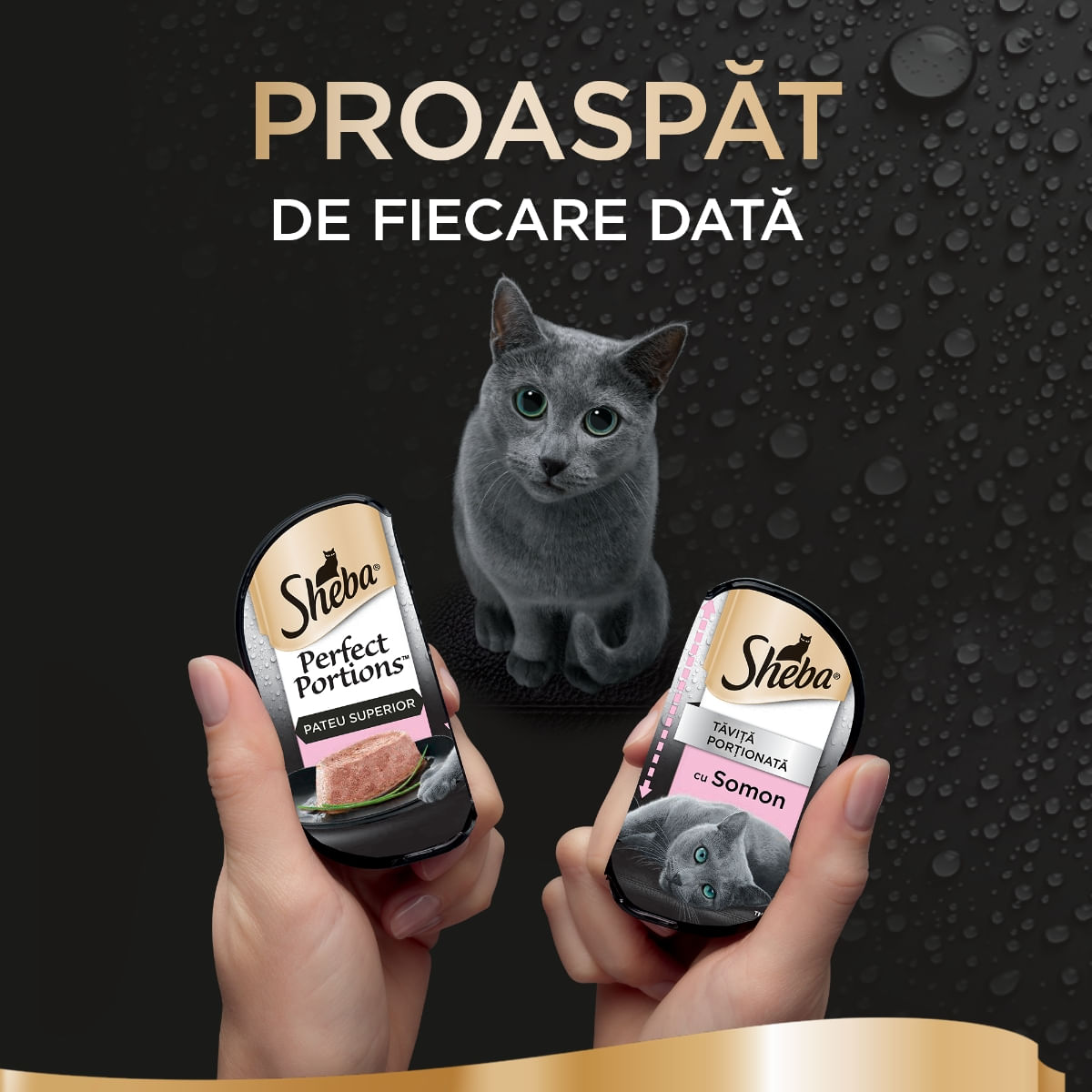 SHEBA Perfect Portions, Somon, tăviță hrană umedă pisici, (pate), multipack, 37.5g x 6buc - poza 2