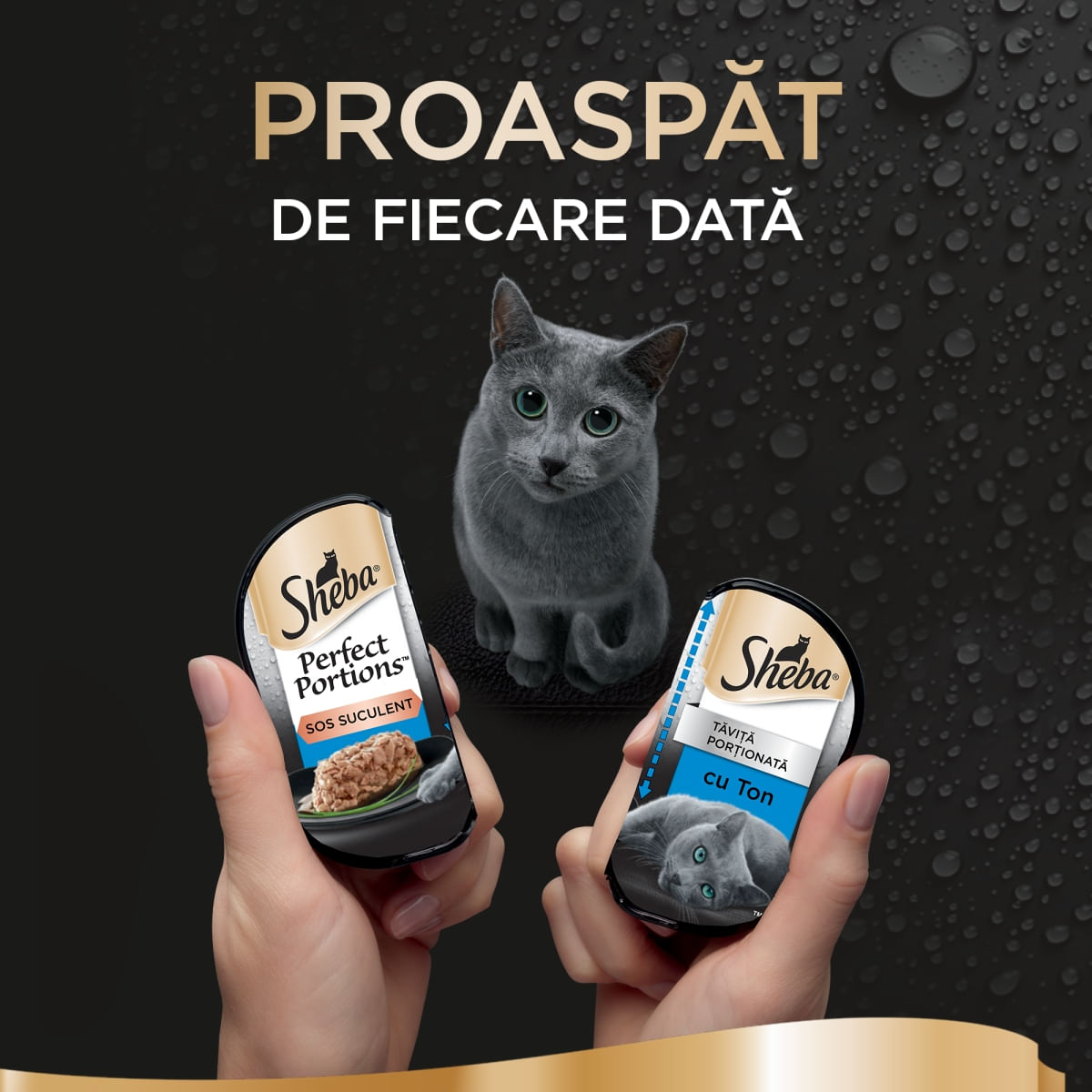 SHEBA Perfect Portions, Ton, tăviță hrană umedă pisici, (în sos), multipack, 37.5g x 6buc - poza 4