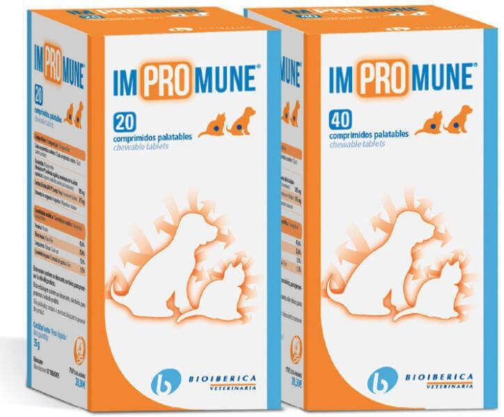 Supliment Nutritiv Impromune, 40 tablete - poza 2