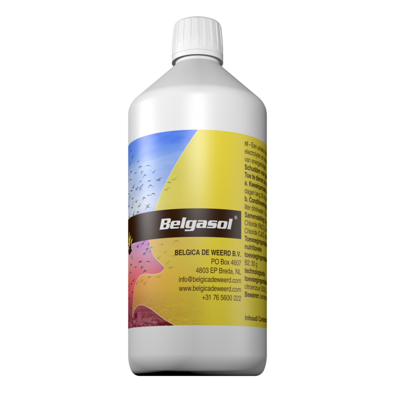Supliment nutritiv pentru porumbei, Belgasol 500ml