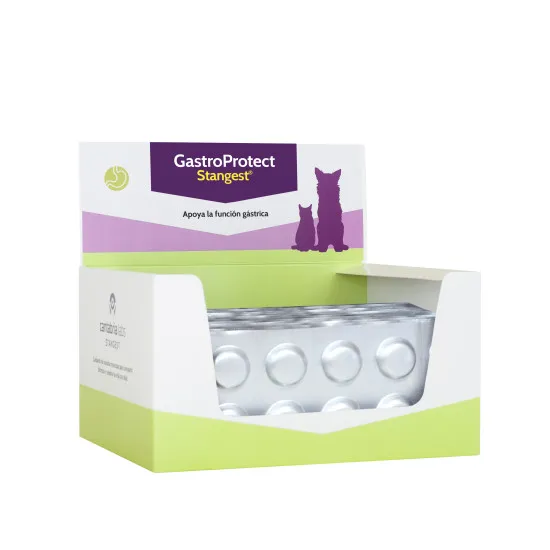 Supliment pentru caini pisici GastroProtect Stangest 10 tab folie