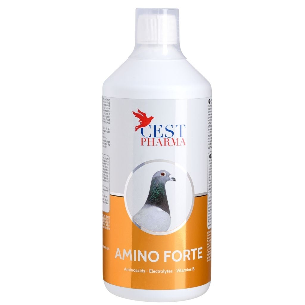 Supliment pentru porumbei, Amino Forte, Cest Pharma 500ml