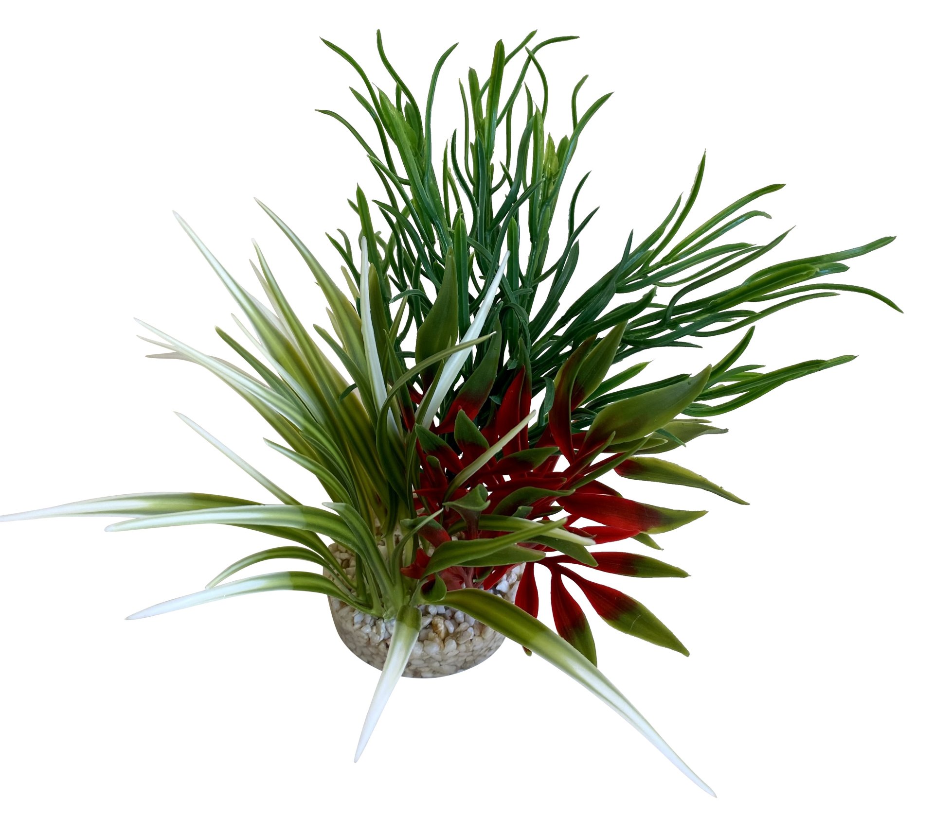Sydeco Planta Aqua Oasis 24 cm 385007