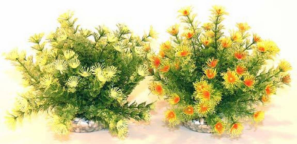 Sydeco Planta Marina Bowl 21cm 610