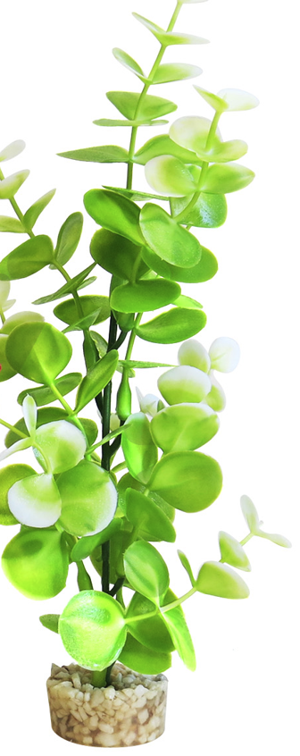 Sydeco Planta Water Eucalyptus 22 cm 350118