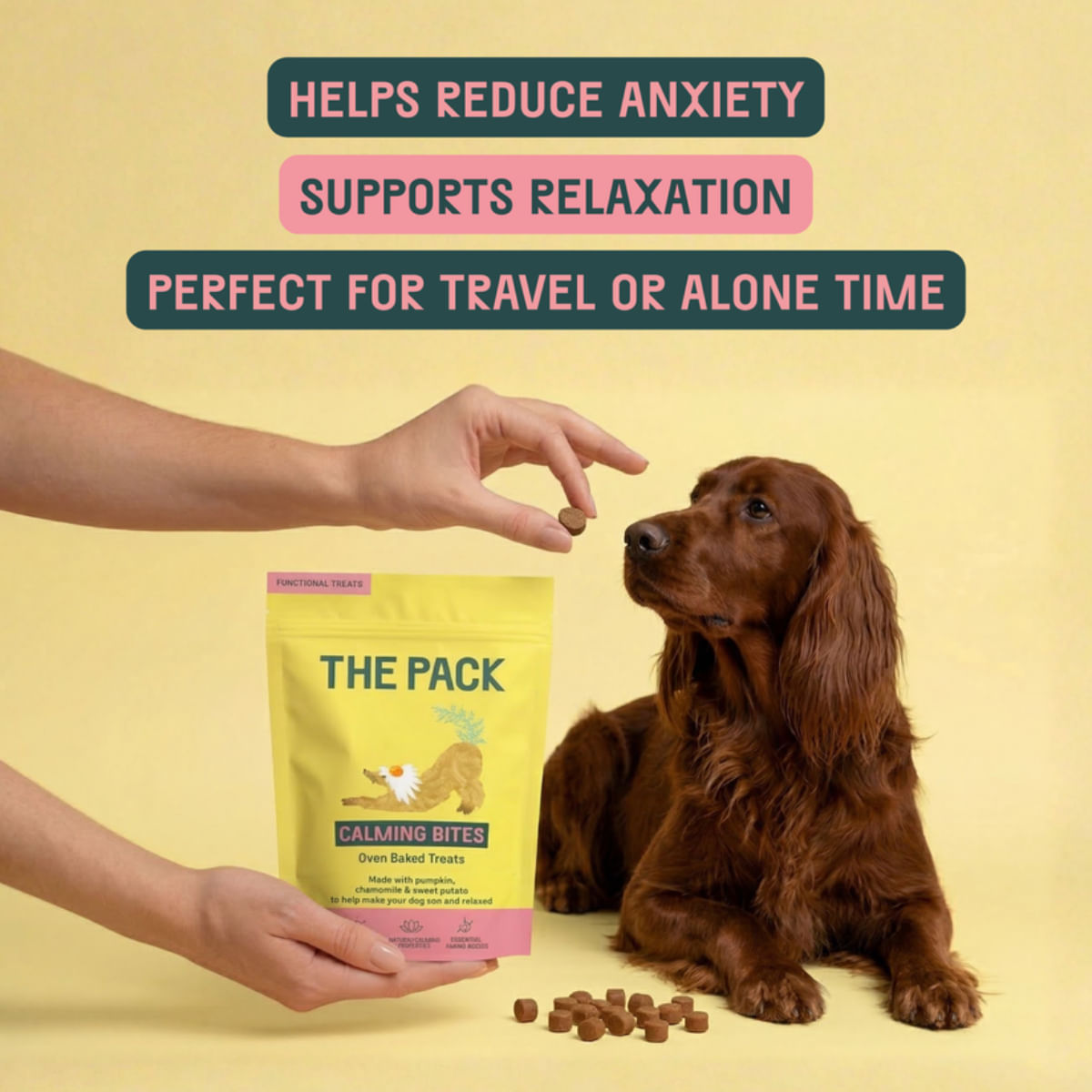 THE PACK Calming Bites, XS-XL, Fructe, punguță recompense funcționale câini, sistem nervos & calmante, 100g - poza 4