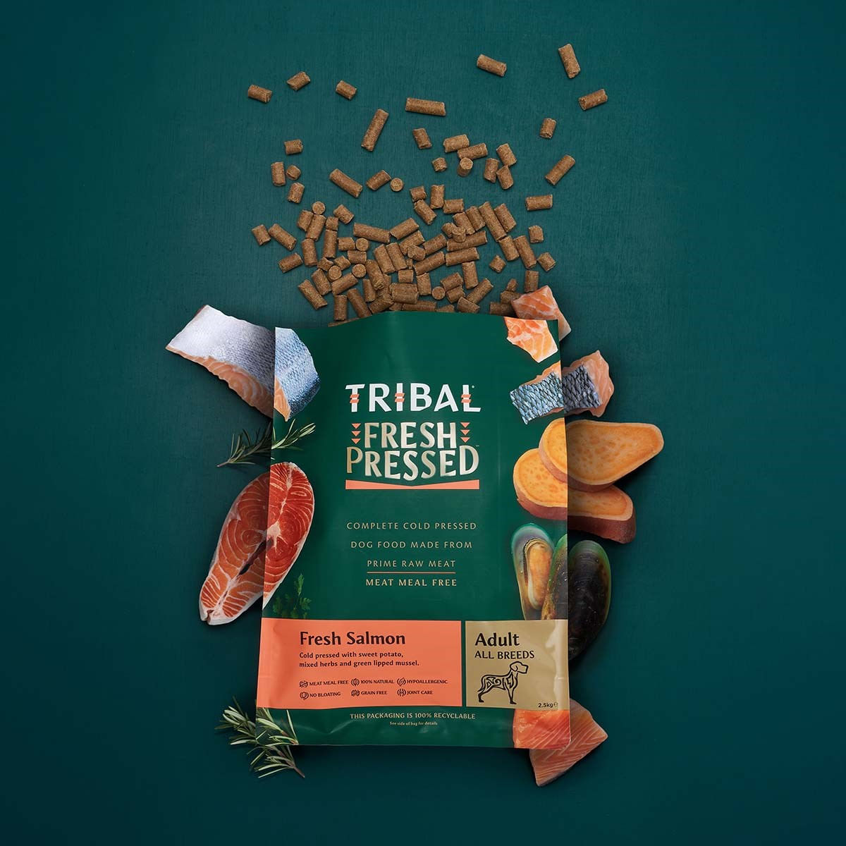 TRIBAL Fresh Pressed, XS-XL, Somon, hrană uscată fără cereale câini, presată la rece, 12kg - poza 1