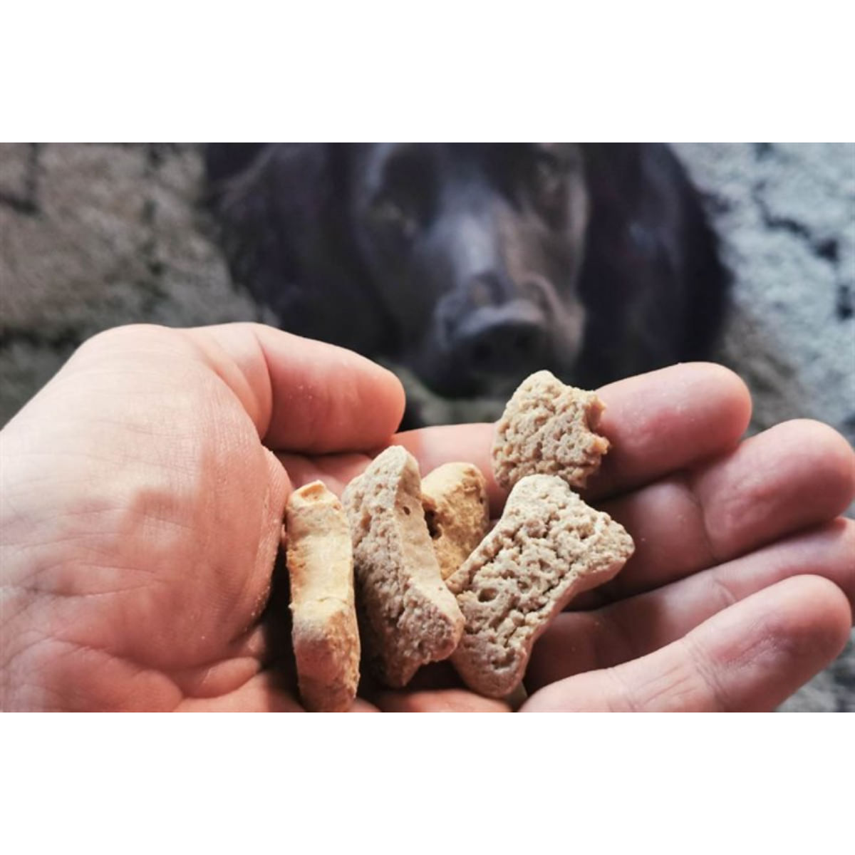 TRIBAL Rewards, XS-XL, Măr și Mentă, punguță recompense funcționale câini, sistem digestiv, 125g - poza 3