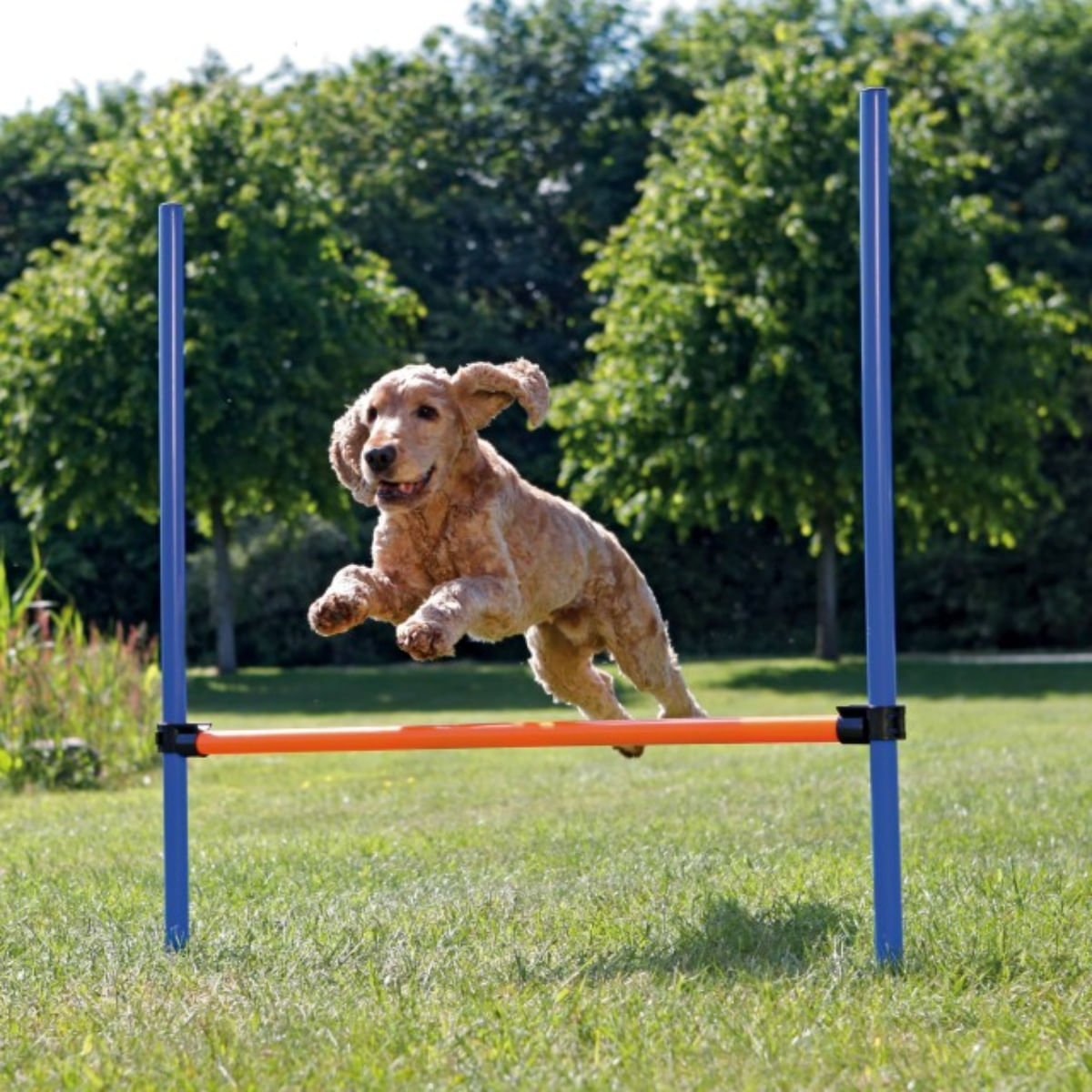 TRIXIE Agility Hurdle, jucărie obstacol câini, plastic, 129cm x 115cm x 3cm, albastru cu portocaliu - poza 1