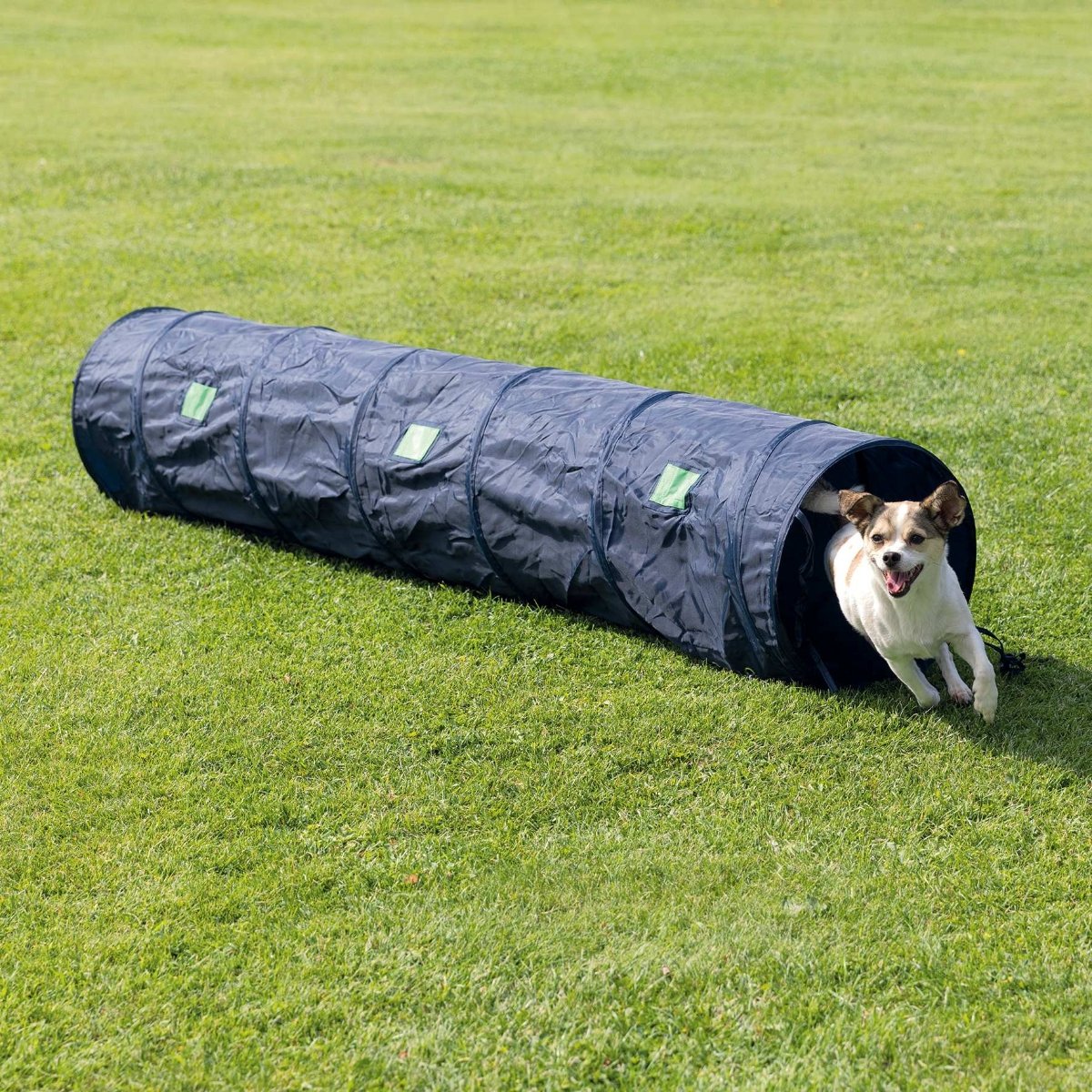 TRIXIE Agility Tunel, jucărie obstacol câini, 40cm x 2m, multicolor - poza 1