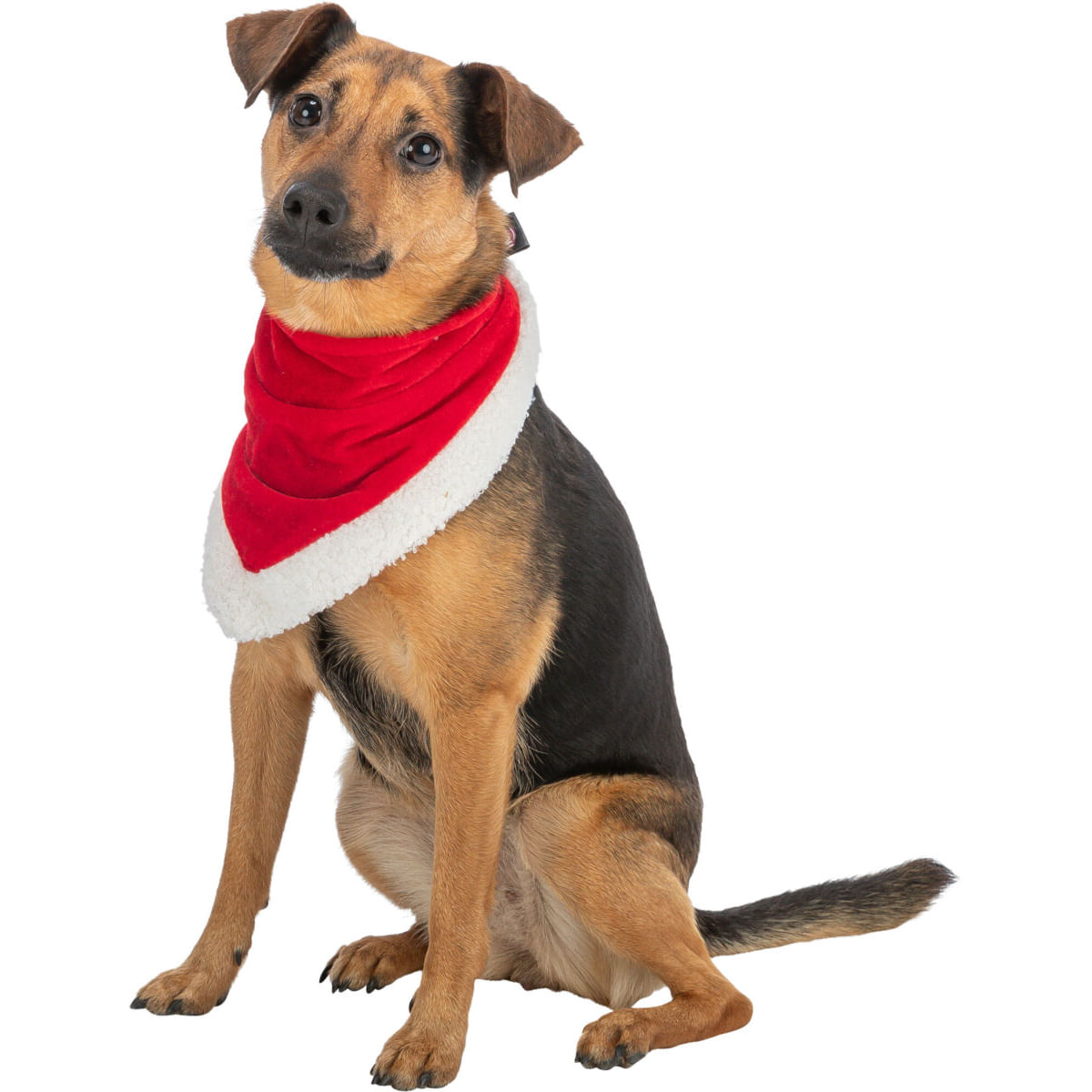 TRIXIE Christmas Velvet look, eşarfă câini, pluș, roșu, M(75cm) - poza 3