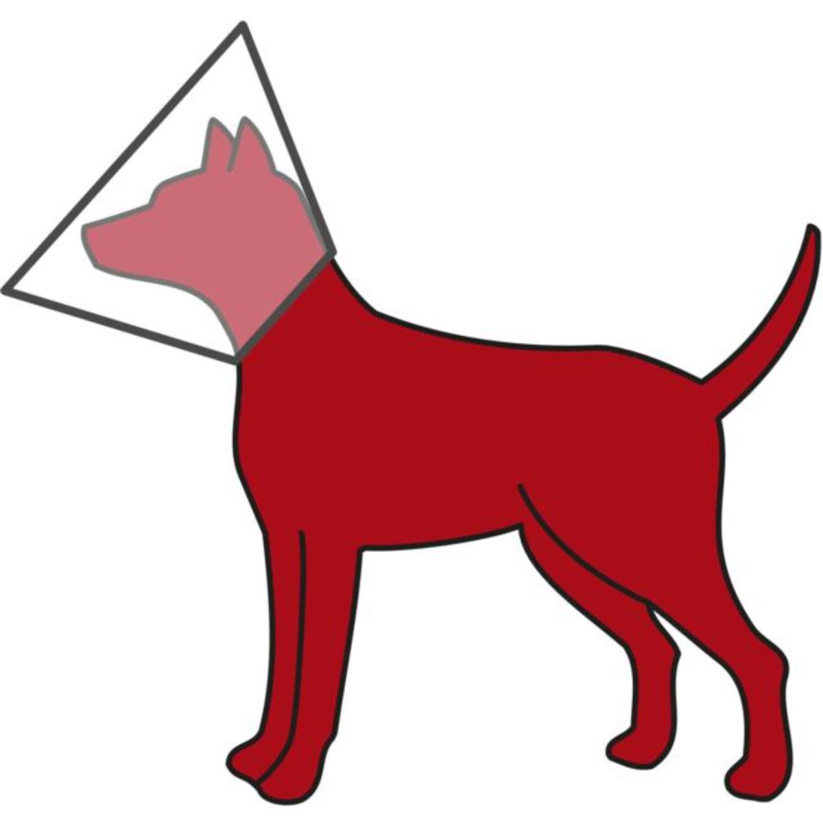TRIXIE, guler protector câini și pisici, cu inchidere velcro, plastic TRIXIE, S-M, guler protector câini, cu inchidere velcro, plastic, 30-37x14cm - poza 3