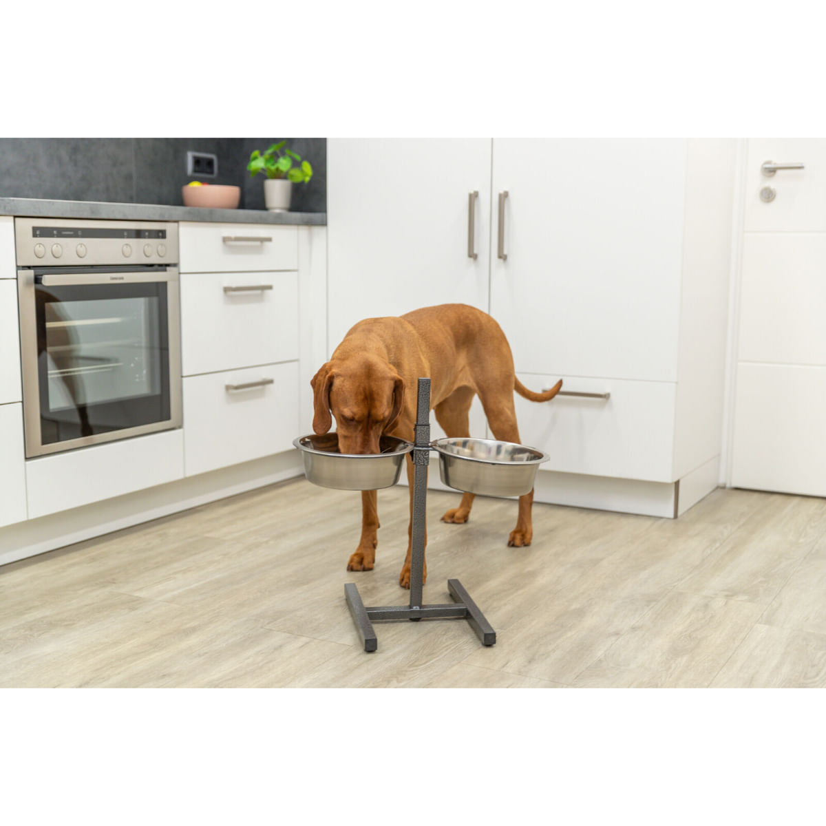 TRIXIE, set suport castroane câini + 2 boluri, înalțime reglabilă, metal, L-XL(2.8l, ⌀24cm) - poza 3