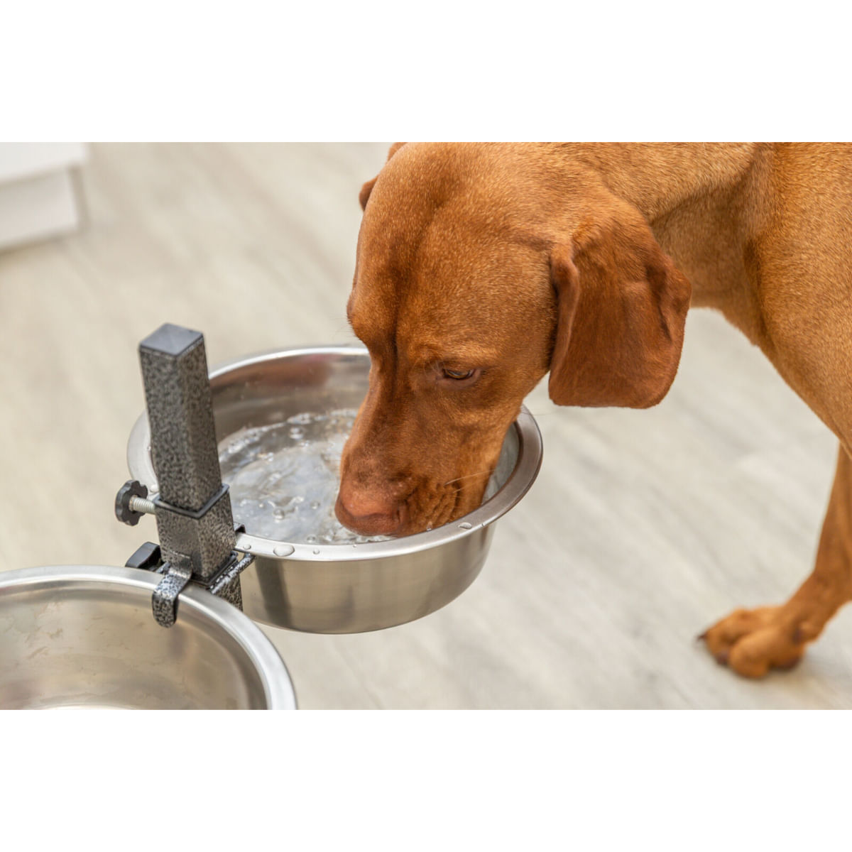 TRIXIE, set suport castroane câini + 2 boluri, înalțime reglabilă, metal, L-XL(2.8l, ⌀24cm) - poza 5