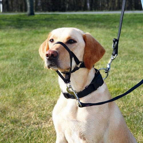 Trixie Top Trainter Headcollar, L-XL, 37 cm, 48-60 cm - poza 2
