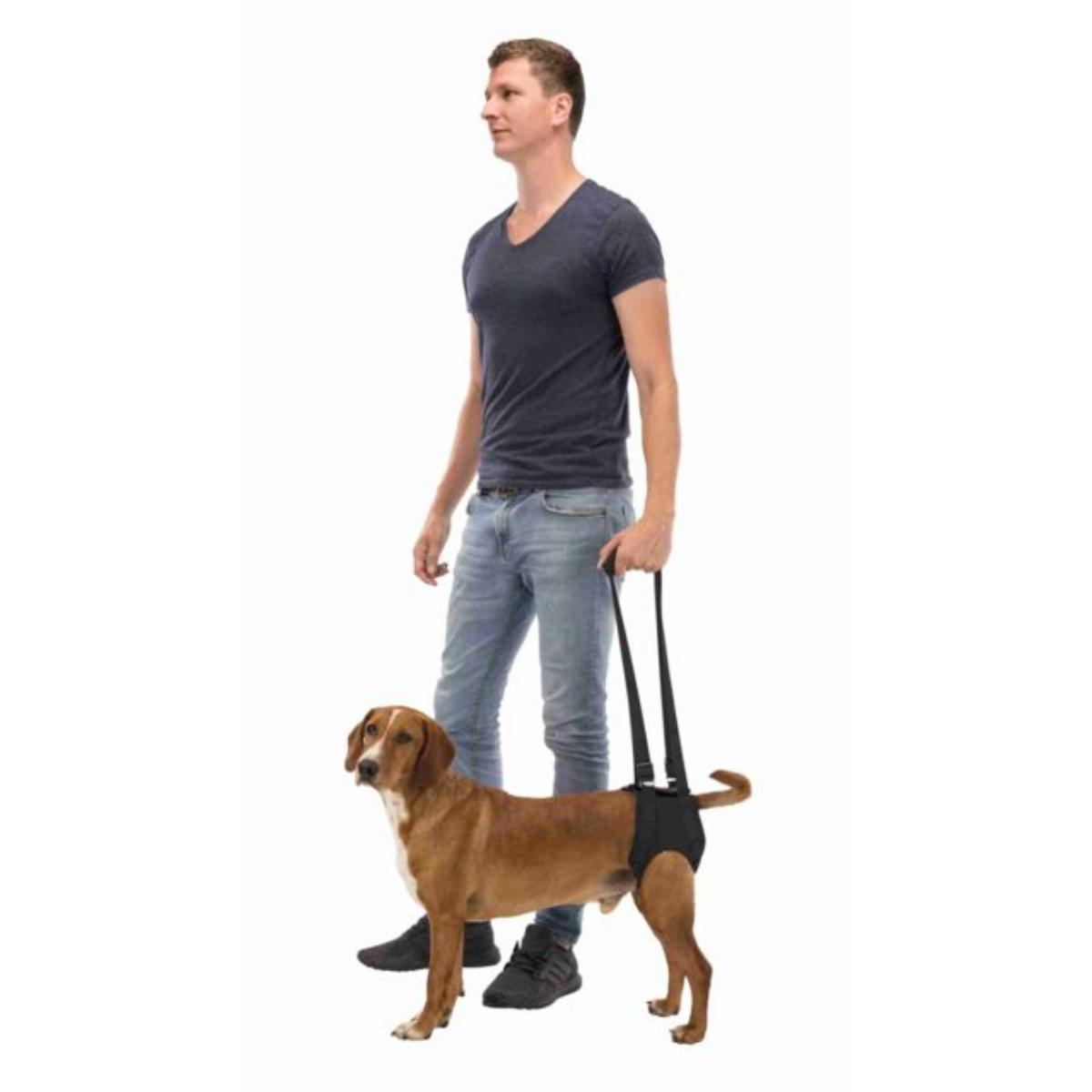 TRIXIE Walking Aid, ham reabilitare câini, neopren TRIXIE Walking Aid, L-XL, ham reabilitare câini, neopren, ⌀ 75 - 85cm - poza 3