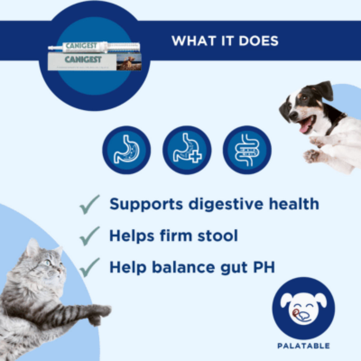 TRM Canigest Oral Paste, supliment sistem digestiv & probiotice câini, pastă orală TRM Canigest Oral Paste, XS-XL, supliment sistem digestiv & probiotice câini și pisici, flacon, 30ml pastă orală - poza 4