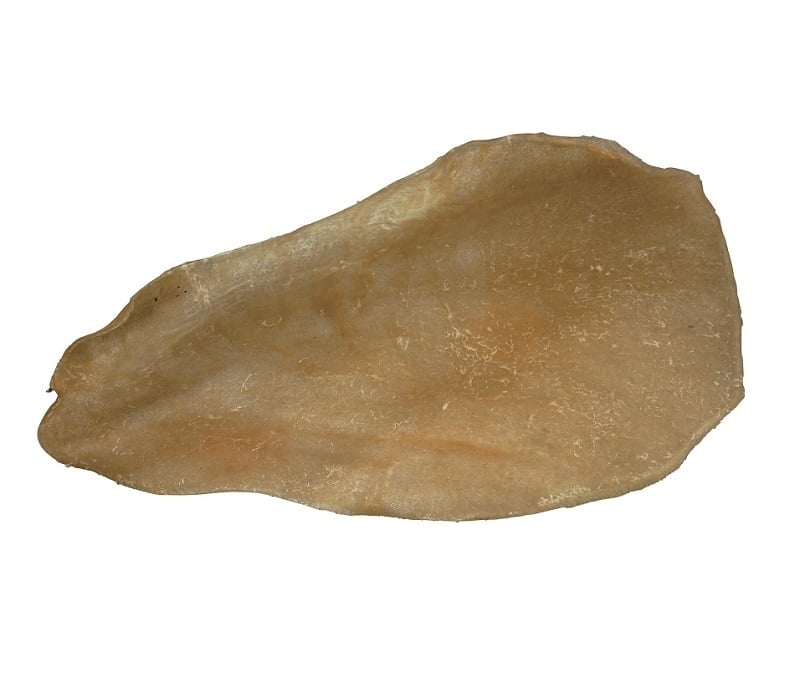 Urechi Uscate de Vita Trixie 1buc - poza 2