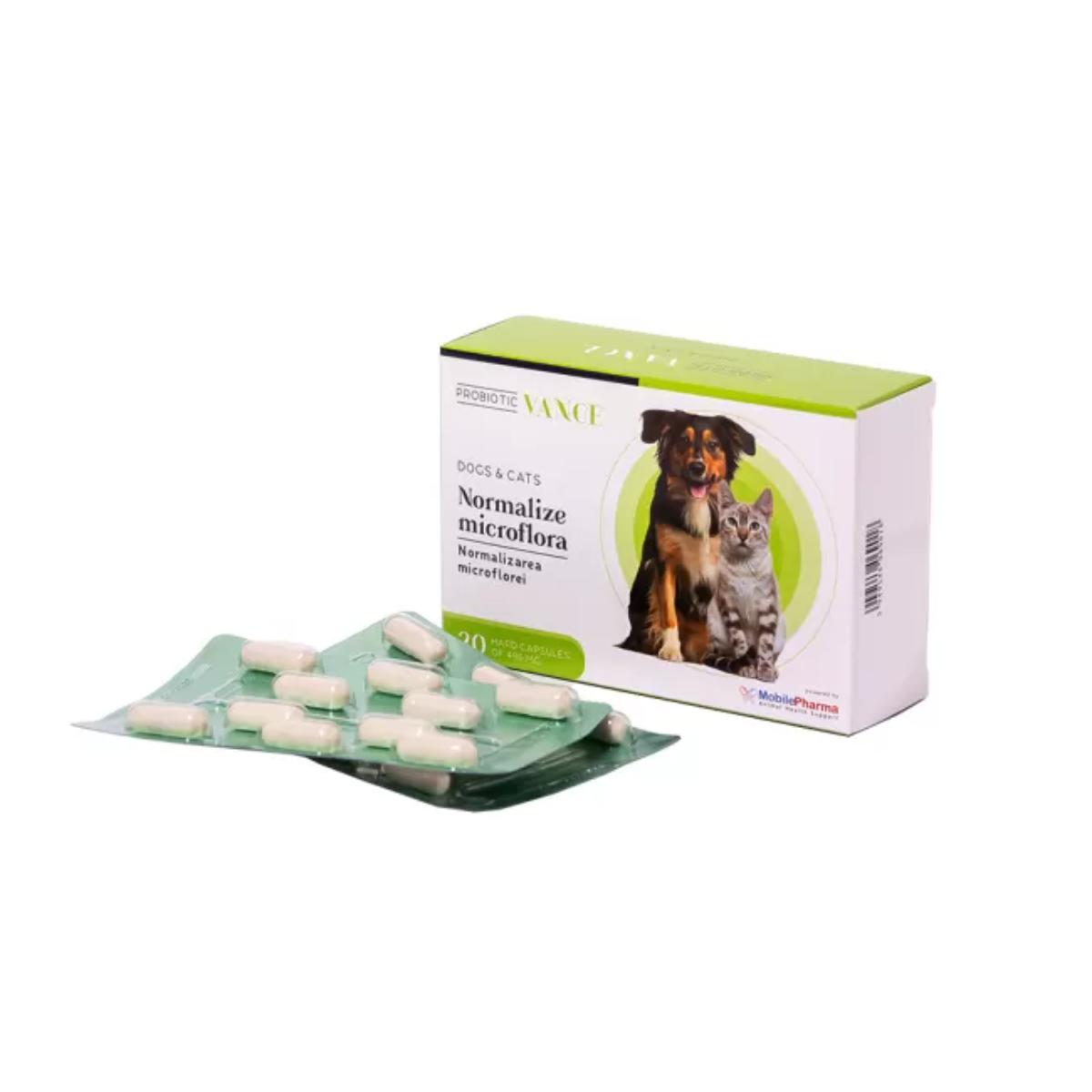 VANCE Probiotic Normalizarea Microflorei, supliment sistem digestiv câini și pisici, capsule VANCE Probiotic Normalizarea Microflorei, XS-XL, supliment sistem digestiv câini și pisici, cutie, 30 capsule - poza 2
