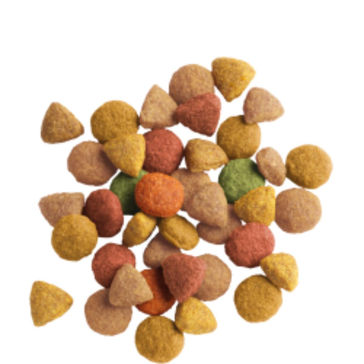 VERSELE LAGA Lara, Somon, hrană uscată pisici, 2kg - poza 2