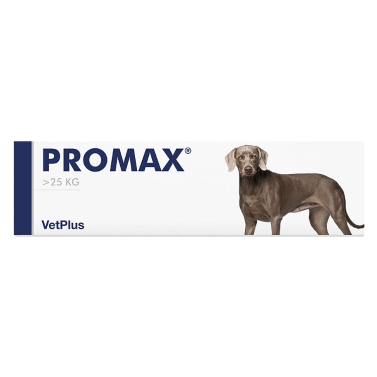 VETPLUS Promax Large Breed, supliment sistem digestiv & probiotice câini, pastă orală VETPLUS Promax Large Breed, L-XL, supliment sistem digestiv & probiotice câini, seringă gradată, 30ml pastă orală - poza 1