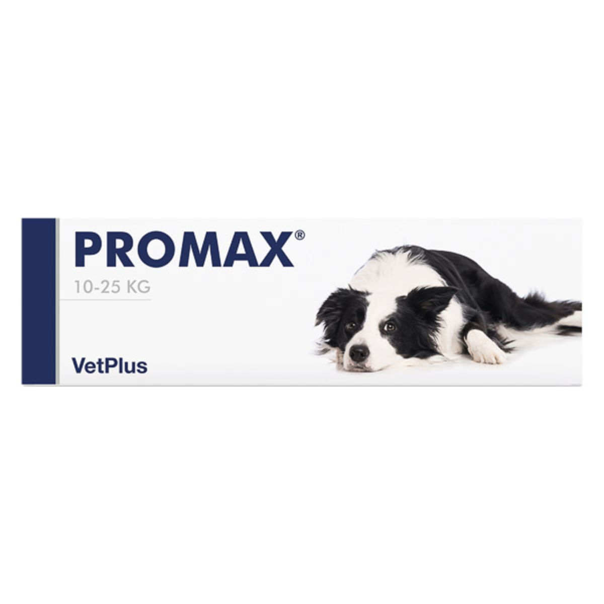 VETPLUS Promax Medium Breed, supliment sistem digestiv & probiotice câini, pastă orală VETPLUS Promax Medium Breed, M, supliment sistem digestiv & probiotice câini, seringă gradată, 18ml pastă orală - poza 1
