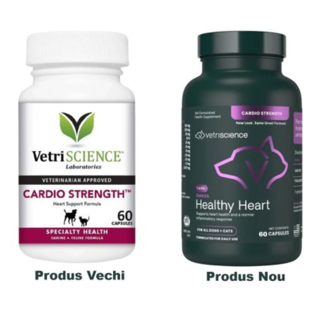 VETRISCIENCE Omega Healthy Heart, supliment sistem cardio-vascular câini, capsule VETRISCIENCE Omega Healthy Heart, XS-XL, supliment sistem cardio-vascular câini, flacon, 60 capsule - poza 1