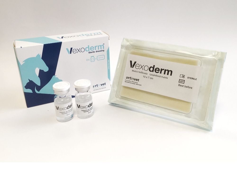 VEXODERM, 10x7 cm