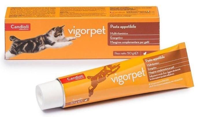 Vigorpet Pasta, Supliment Nutritiv Pisici, 50 g