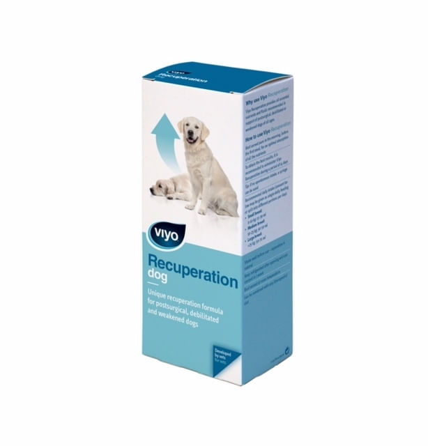 Viyo Recuperation Dog x 1 fl - poza 2