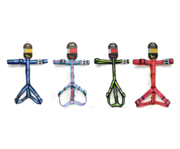 Walkit Ham Caine M 1.9 cm x 51-76 cm - walkit,albastru