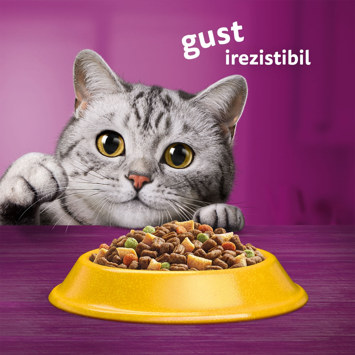 WHISKAS Adult, Pui, hrană uscată pisici, 14kg - poza 4