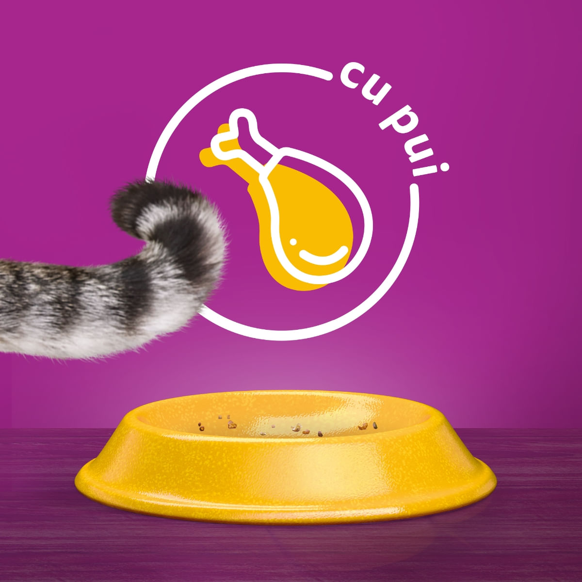 WHISKAS Adult, Pui, hrană uscată pisici, 300g - poza 5