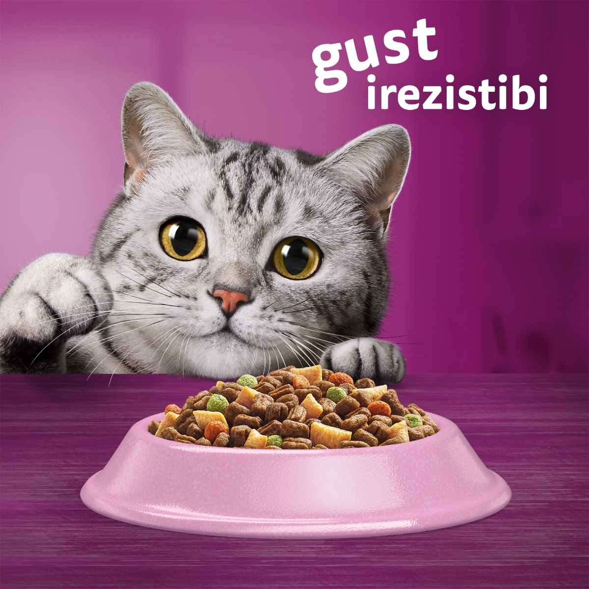WHISKAS Adult, Somon, hrană uscată pisici, 1.4kg - poza 5