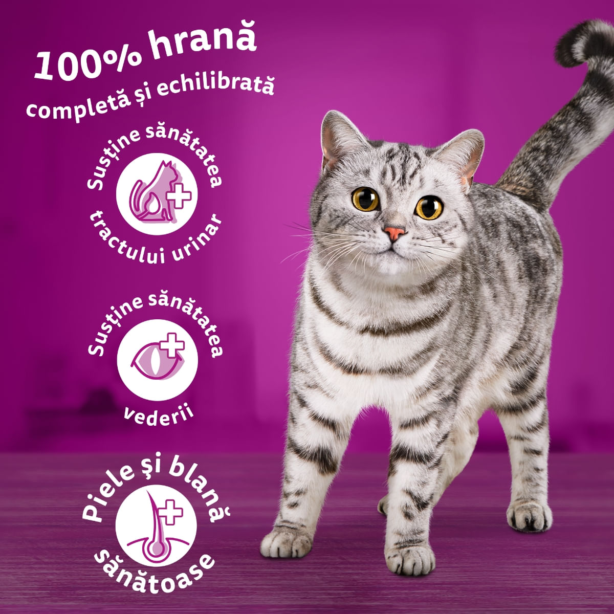 WHISKAS Adult Sterile, Pui, hrană uscată pisici sterilizate, 1.4kg - poza 4
