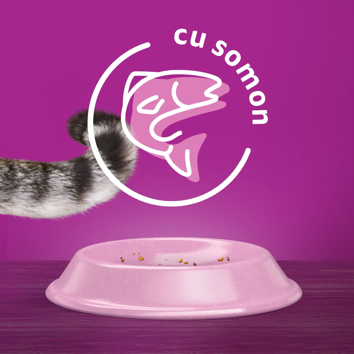 WHISKAS Adult Sterile, Somon, hrană uscată pisici sterilizate, 1.4kg - poza 3