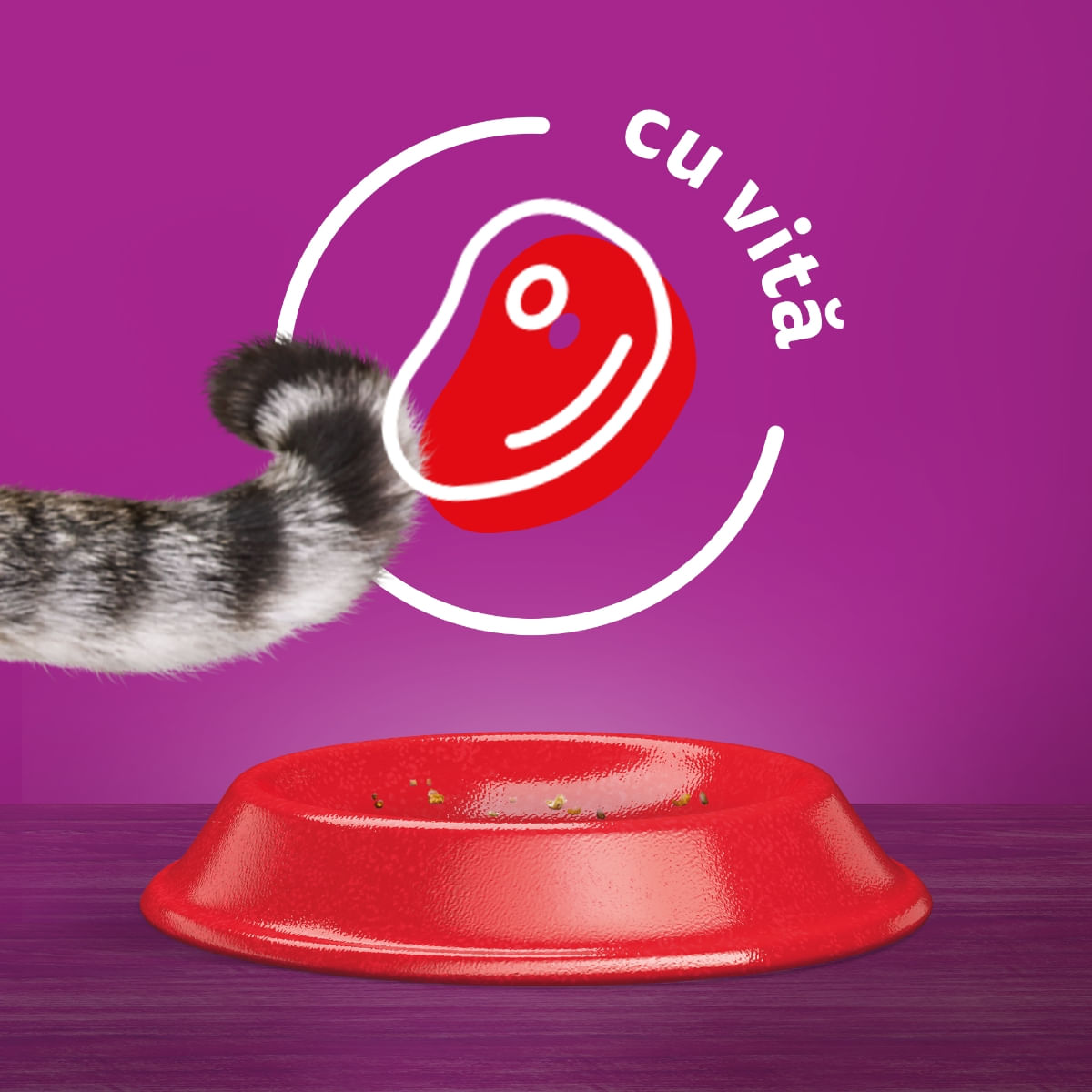 WHISKAS Adult, Vită, hrană uscată pisici, 3.8kg - poza 3