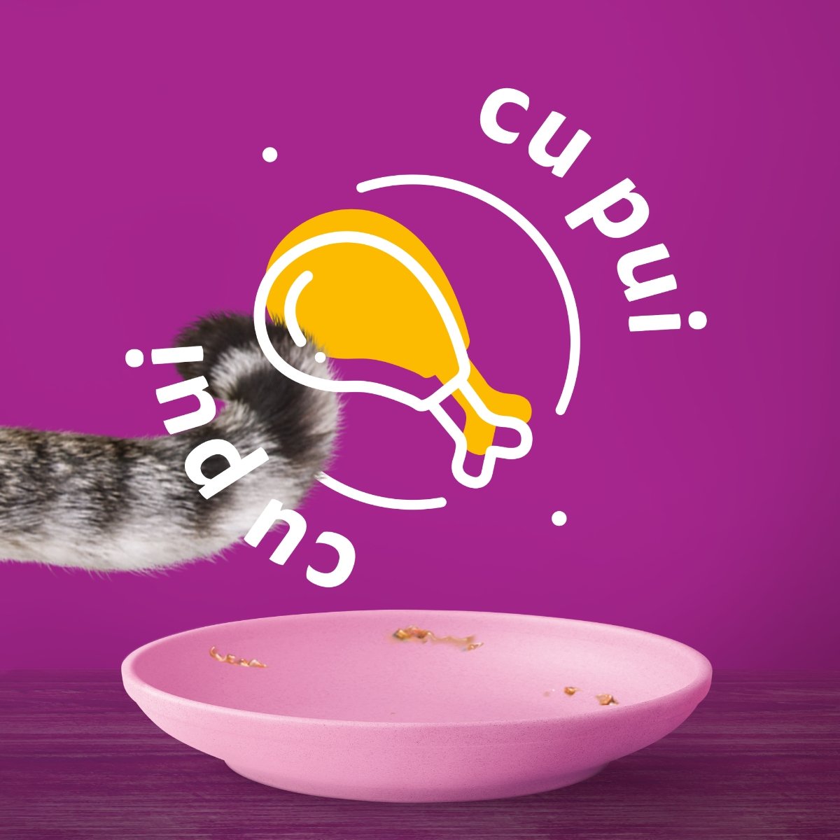 WHISKAS Junior, Pui, plic hrană umedă pisici junior, (în aspic), 85g - poza 3