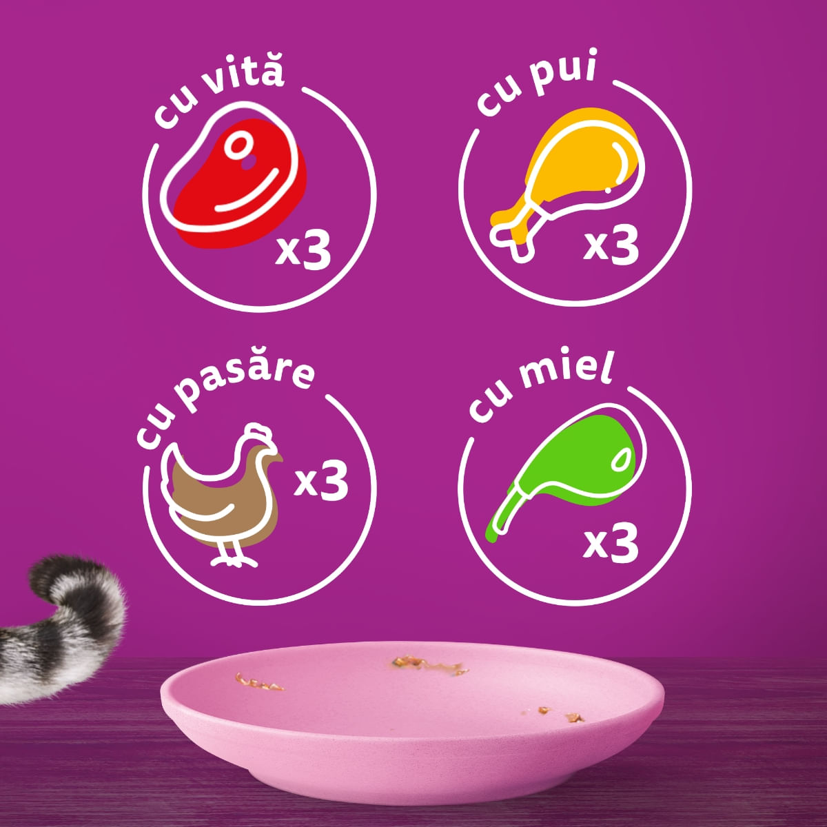 WHISKAS Junior Selectii Clasice, Miel, Vită, Pui și Pasăre, plic hrană umedă pisici, (în sos), multipack, 85g x 12 - poza 5
