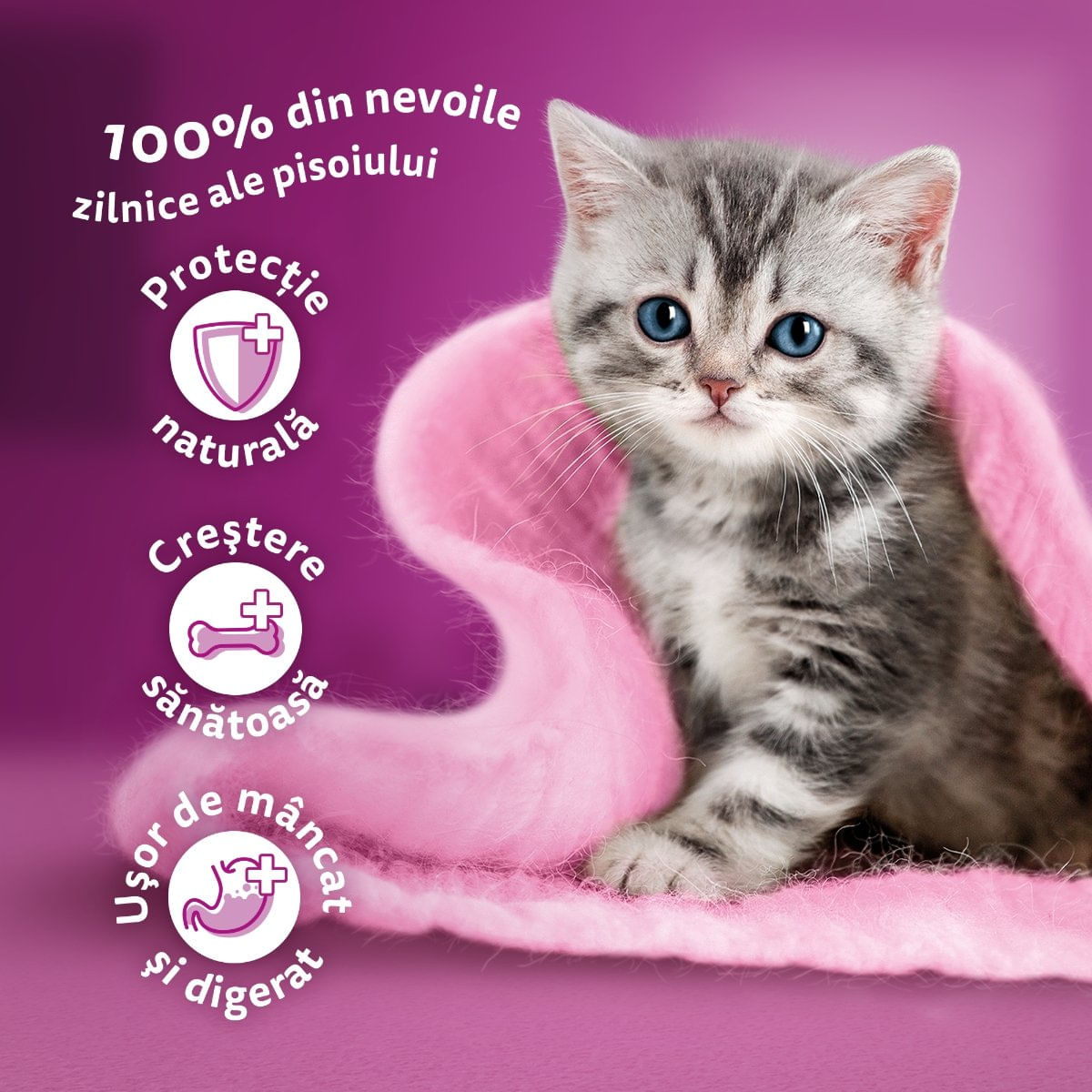WHISKAS Junior Selectii Clasice, Vită și Pui, plic hrană umedă pisici junior, (în aspic), multipack, 85g x 4 - poza 3