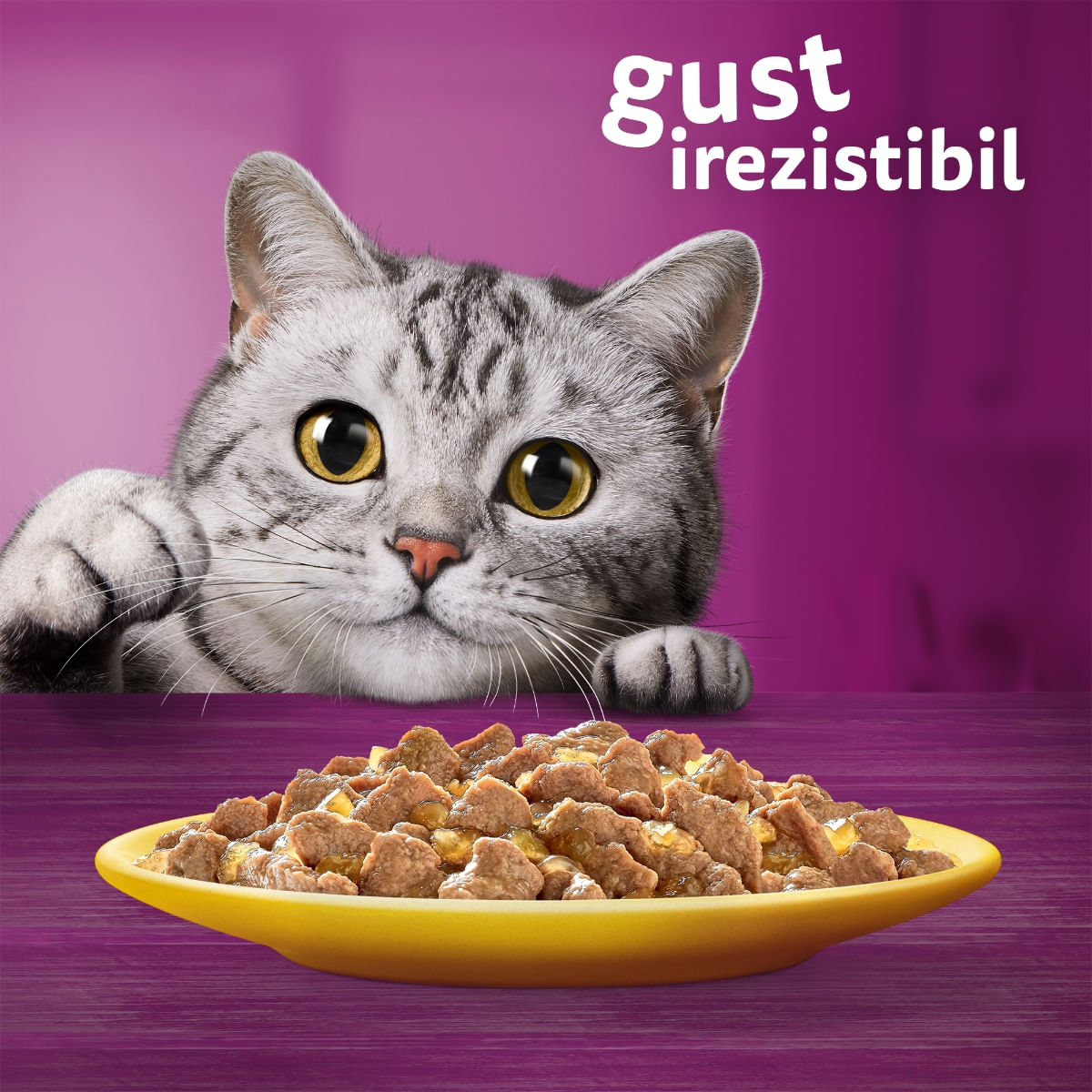 WHISKAS, Pui, plic hrană umedă pisici, (în aspic), 85g - poza 5