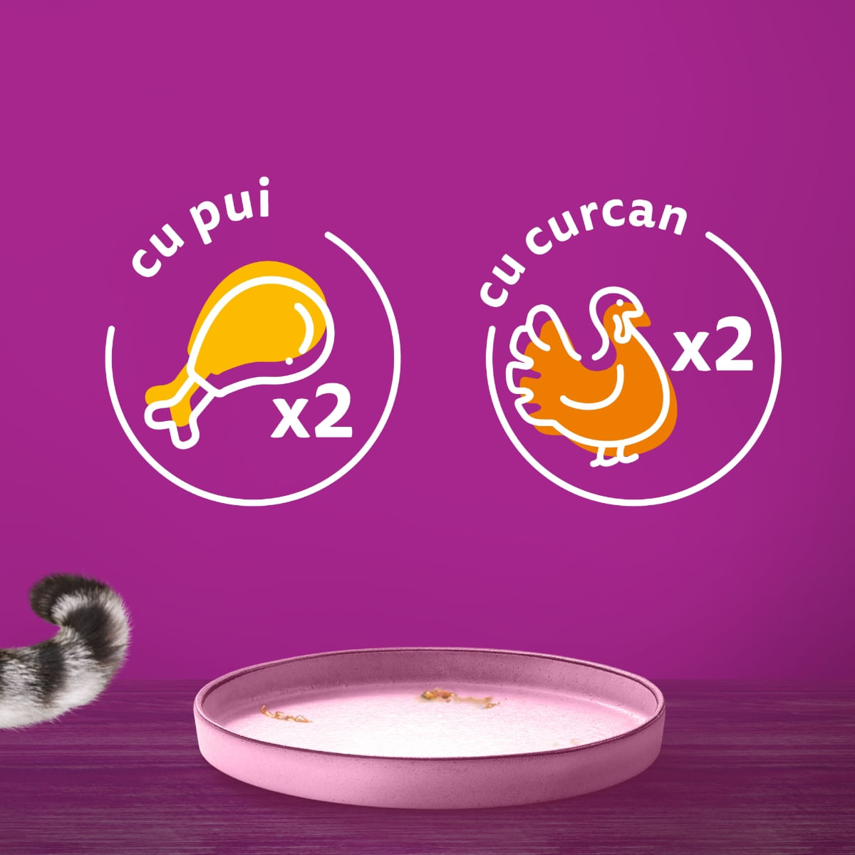 WHISKAS Pure Delight Junior Selectii Pasăre, Pui și Curcan, plic hrană umedă pisici junior, (în aspic), multipack, 85g x 4 - poza 2