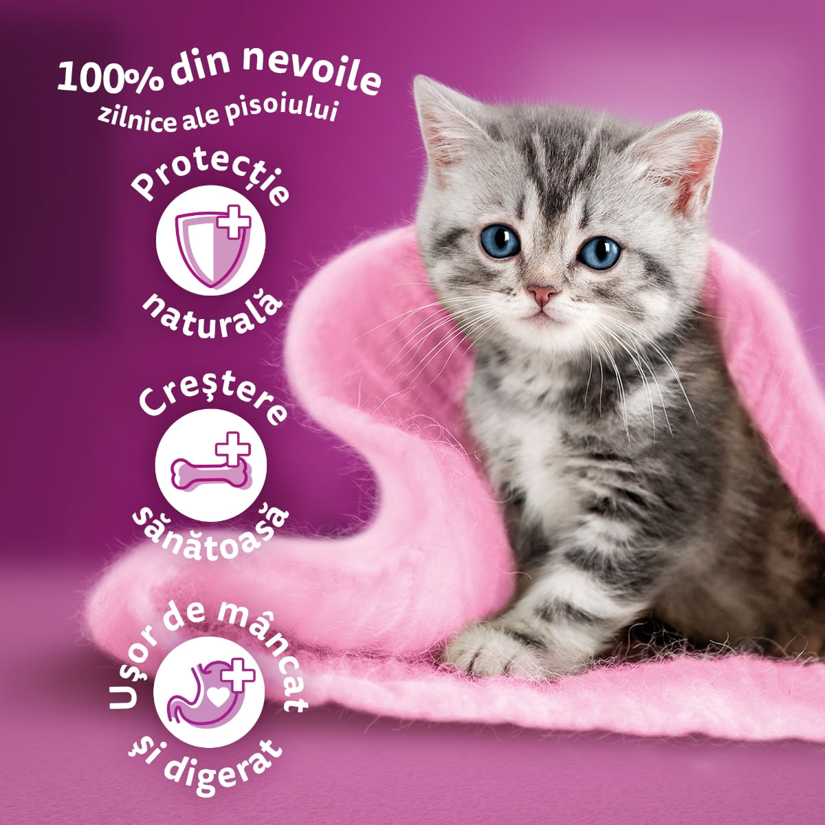 WHISKAS Pure Delight Junior Selectii Pasăre, Pui și Curcan, plic hrană umedă pisici junior, (în aspic), multipack, 85g x 4 - poza 4