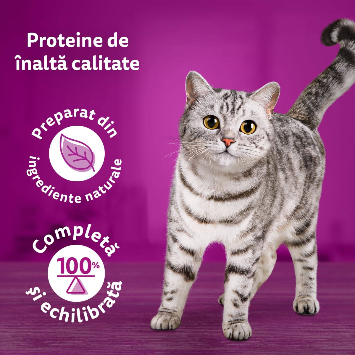WHISKAS Pure Delight Mixed Selection, Vită, Pui, Somon și Ton, plic hrană umedă pisici, (în aspic), multipack, 85g x 12 - poza 5