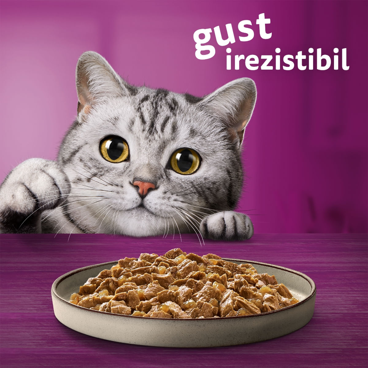 WHISKAS Pure Delight, Pui, plic hrană umedă pisici, (în aspic), 85g - poza 2